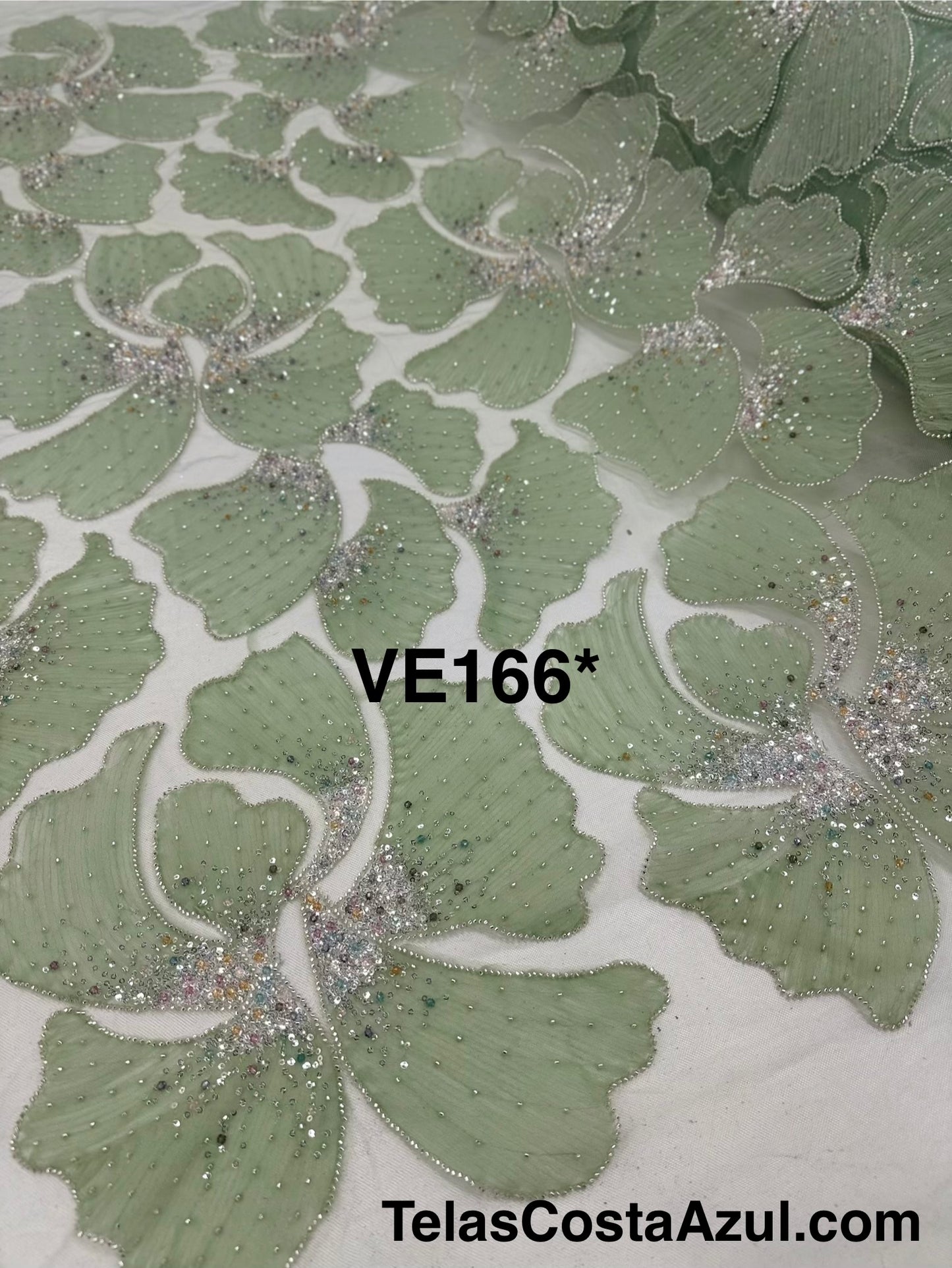 VE166