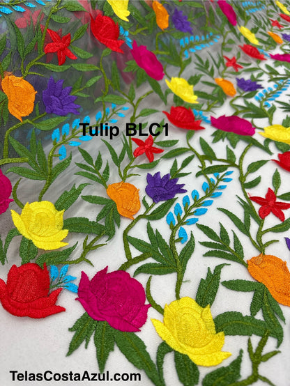 TulipBLC1 fondo blanco