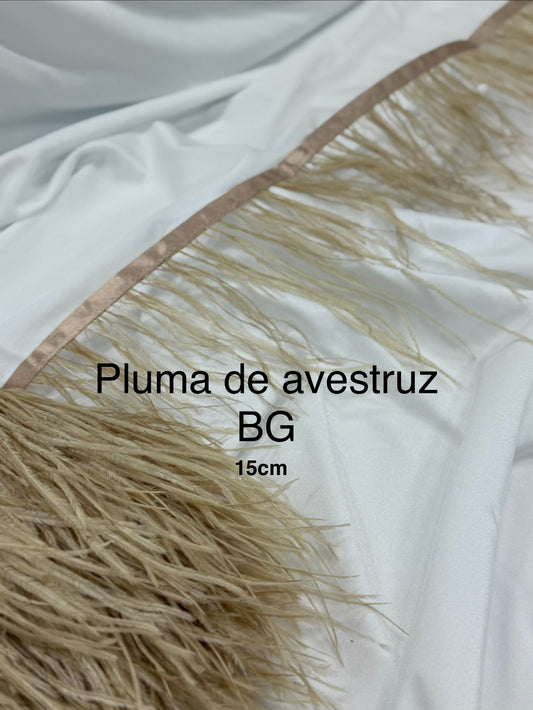 Plumas de avestruz 15cm largo BG
