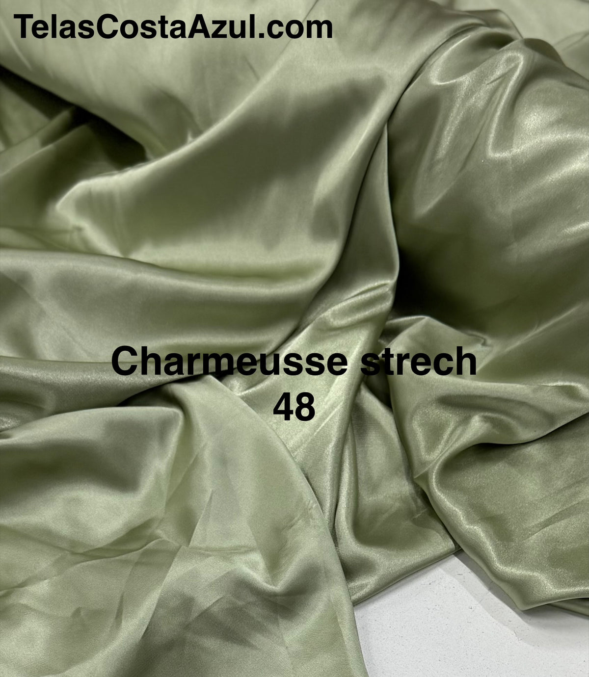 Charmeusse con licra 48
