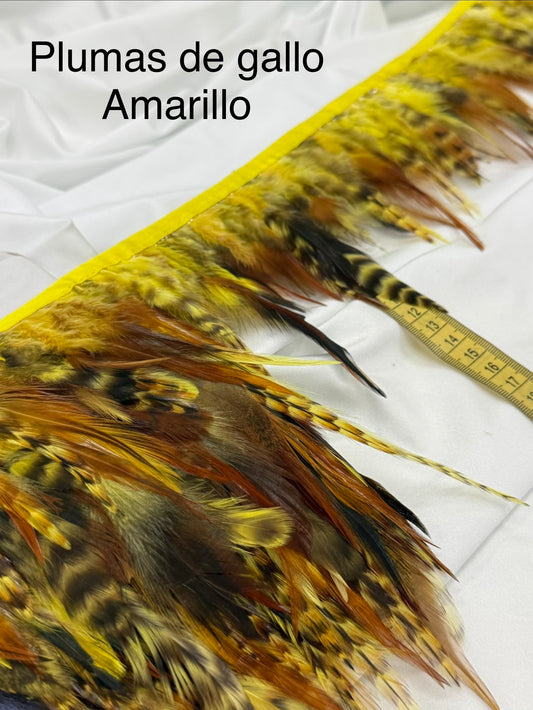 Plumas de gallo Amarillo