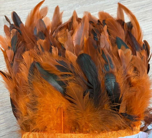 Plumas de gallo